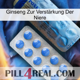 Ginseng Zur Verstärkung Der Niere 40